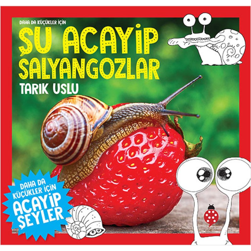 Daha da Küçükler İçin Şu Acayip Salyangozlar Daha da Küçükler İçin Şu Acayip Salyangozlar