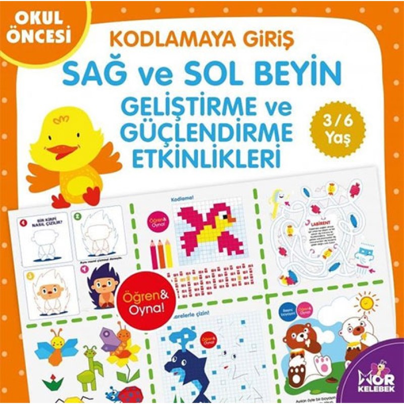 Sağ ve Sol Beyin Geliştirme ve Güçlendirme Etkinlikleri - Kodlamaya Giriş
