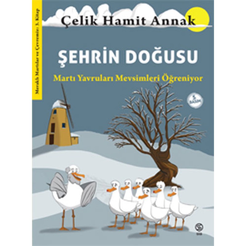 Şehrin Doğusu - Martı Yavruları Mevsimleri Öğreniyor Şehrin Doğusu - Martı Yavruları Mevsimleri Öğreniyor