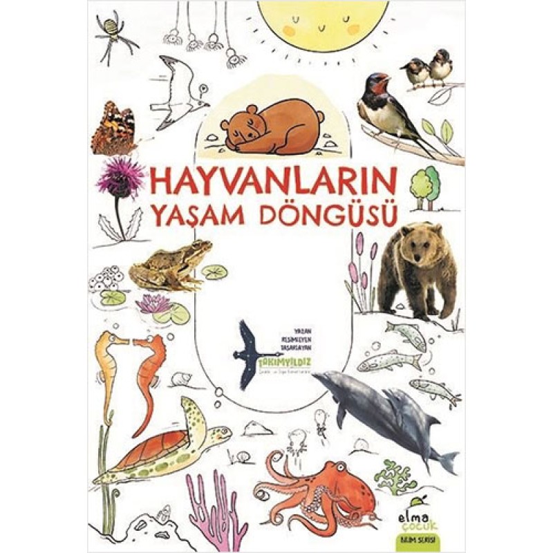 Hayvanların Yaşam Döngüsü Hayvanların Yaşam Döngüsü
