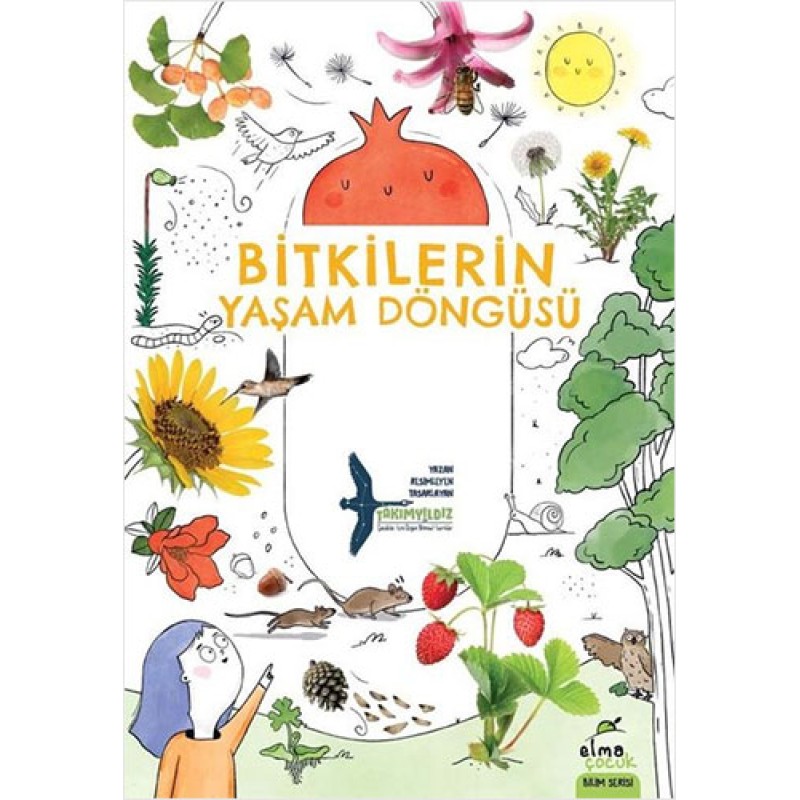 Bitkilerin Yaşam Döngüsü Bitkilerin Yaşam Döngüsü