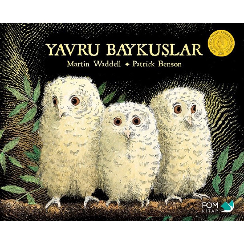 Yavru Baykuşlar Yavru Baykuşlar