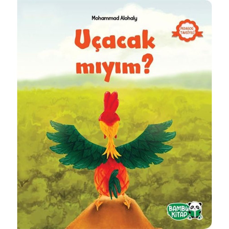 Uçacak mıyım? Uçacak mıyım?
