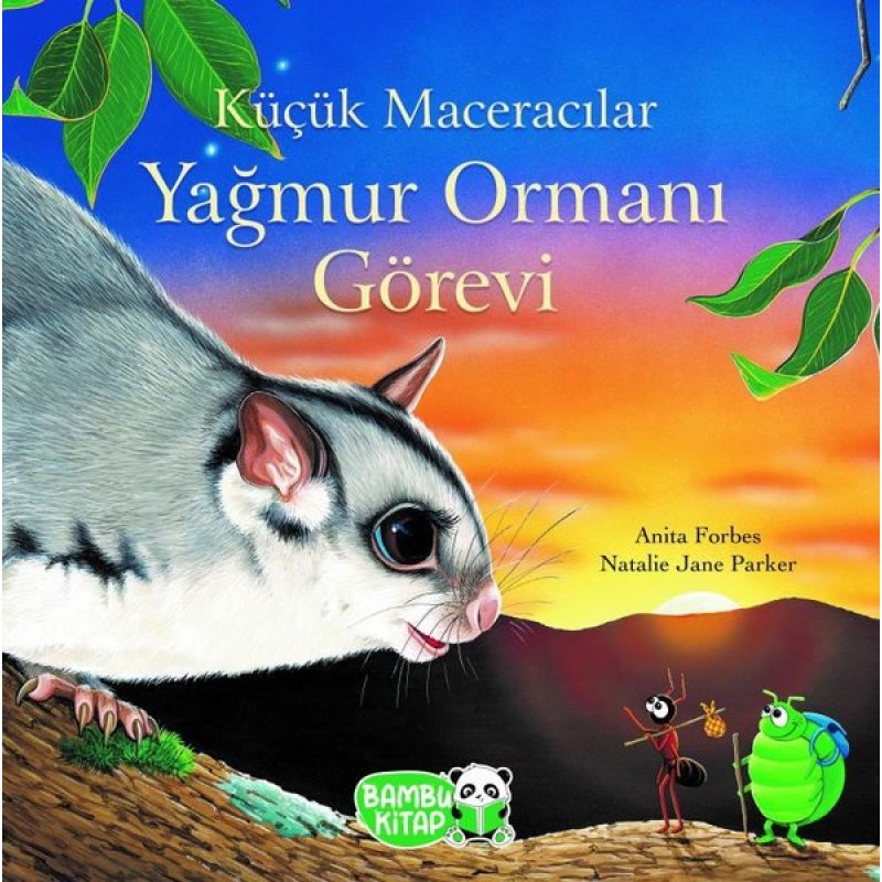 Küçük Maceracılar - Yağmur Ormanı Görevi Küçük Maceracılar - Yağmur Ormanı Görevi