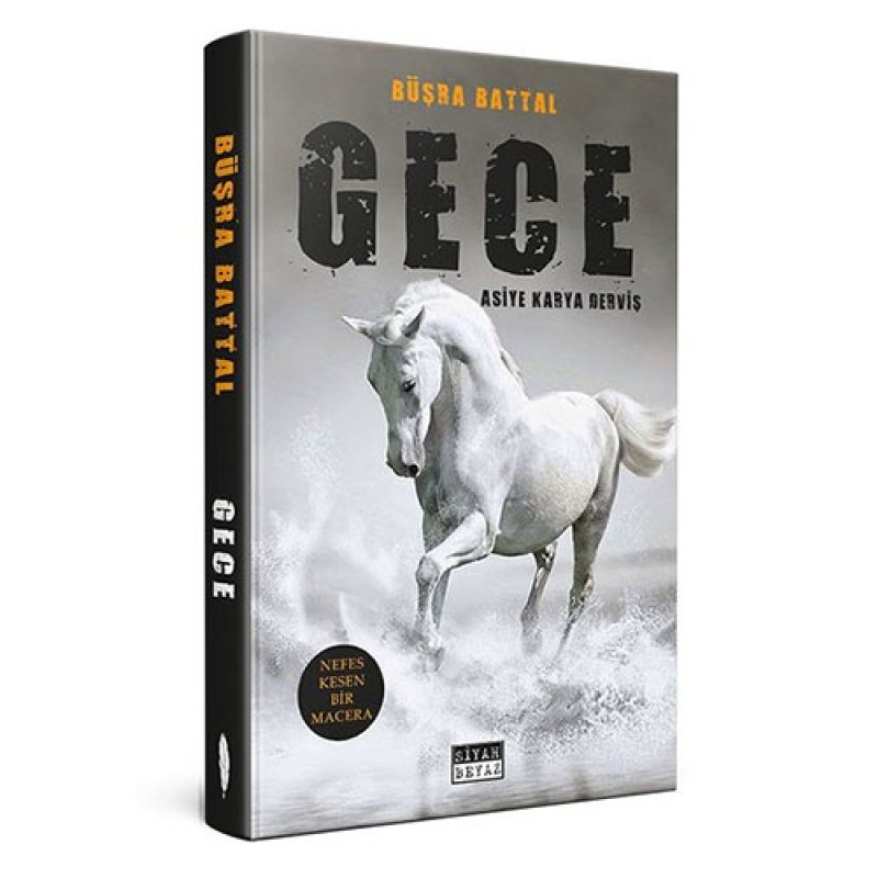 Gece-Asiye Karya Derviş Gece-Asiye Karya Derviş