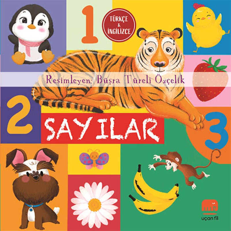 Sayılar