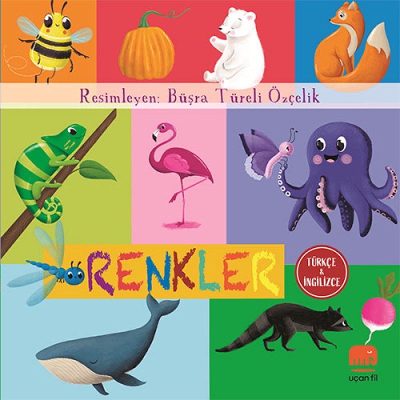 Renkler Renkler