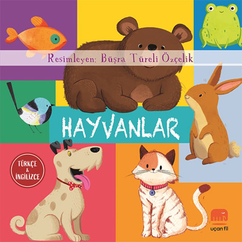 Hayvanlar Hayvanlar