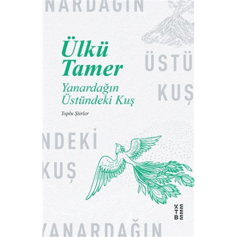 Yanardağın Üstündeki Kuş