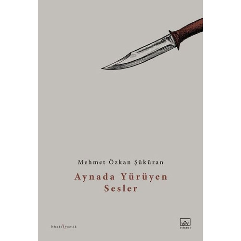 Aynada Yürüyen Sesler