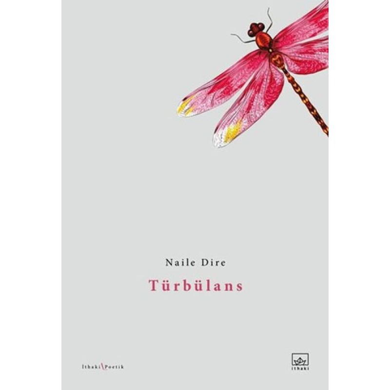 Türbülans Türbülans