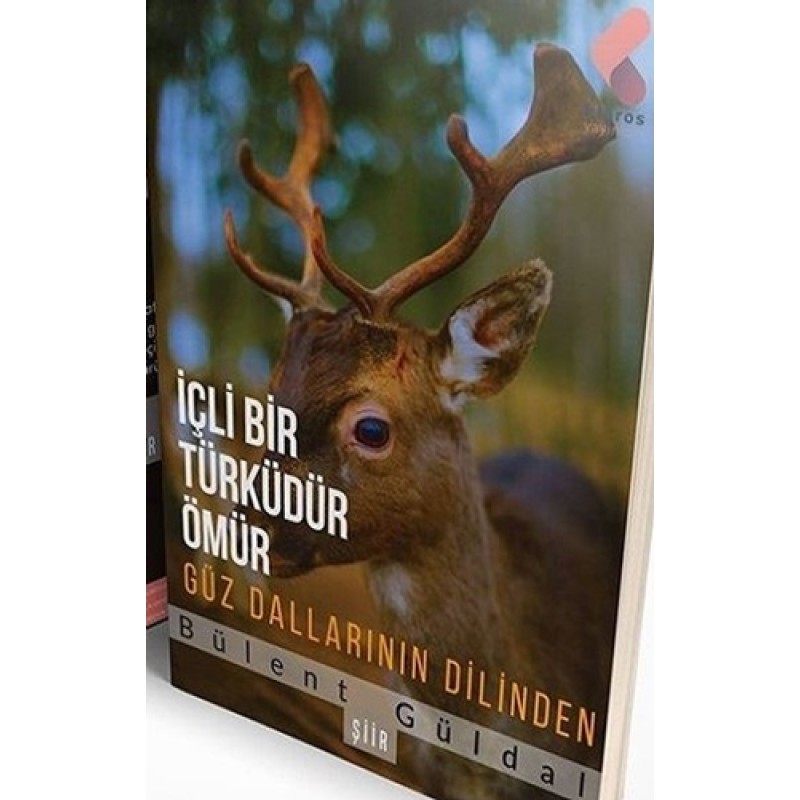 İçli Bir Türküdür Ömür İçli Bir Türküdür Ömür
