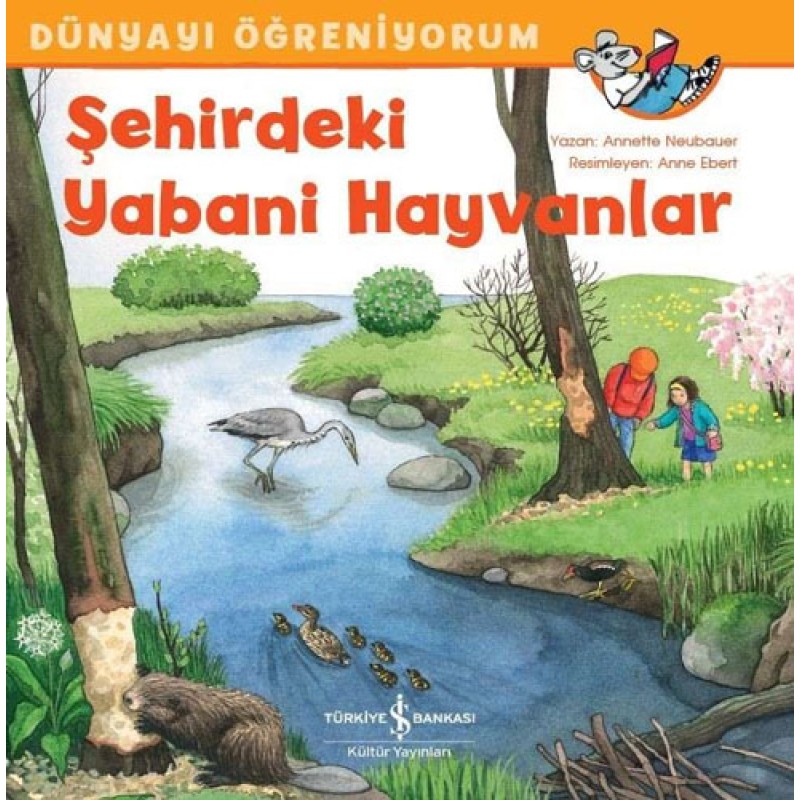 Dünyayı Öğreniyorum - Şehirdeki Yabani Hayvanlar