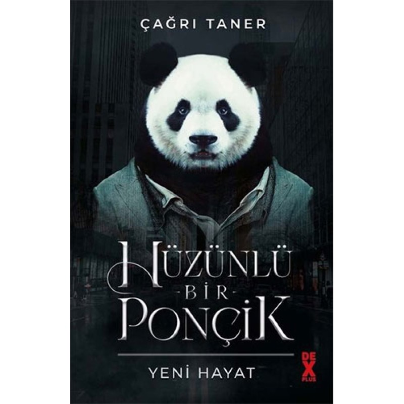 Hüzünlü Bir Ponçik - Yeni Hayat Hüzünlü Bir Ponçik - Yeni Hayat