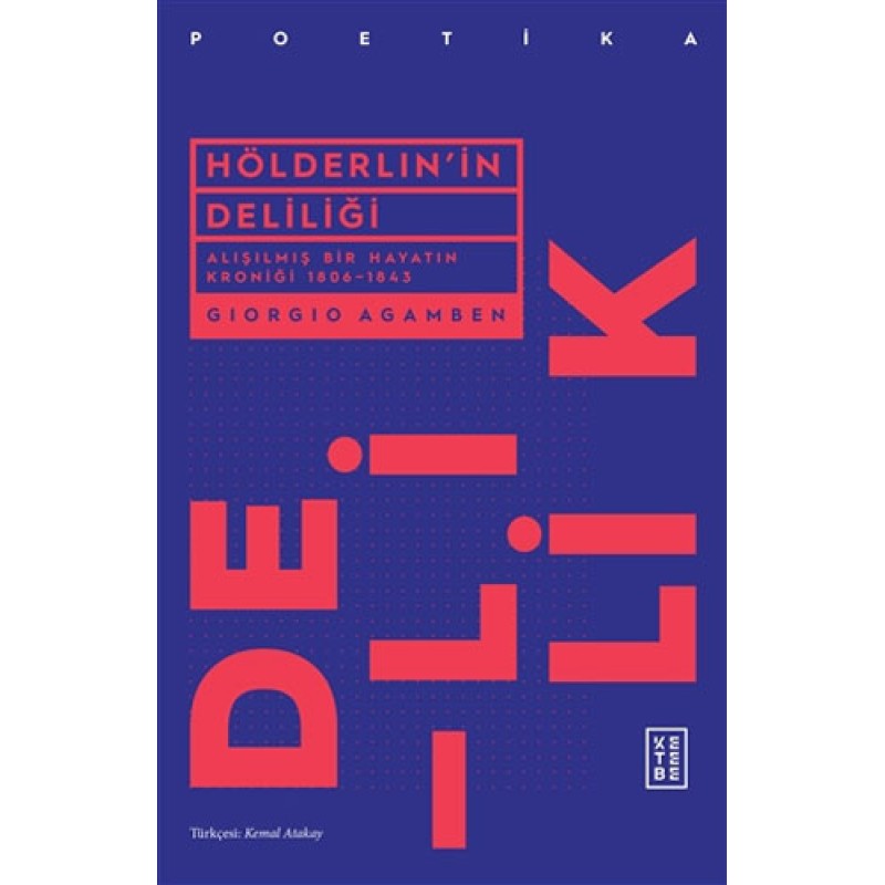 Hölderlin'in Deliliği Hölderlin'in Deliliği