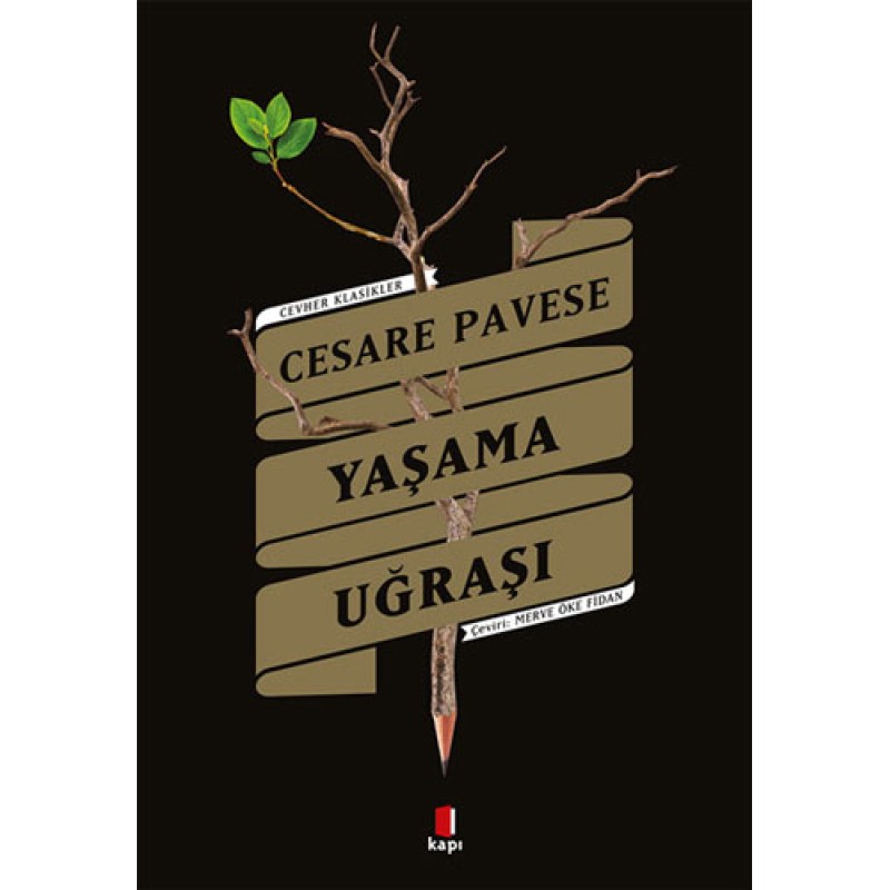 Yaşama Uğraşı Yaşama Uğraşı