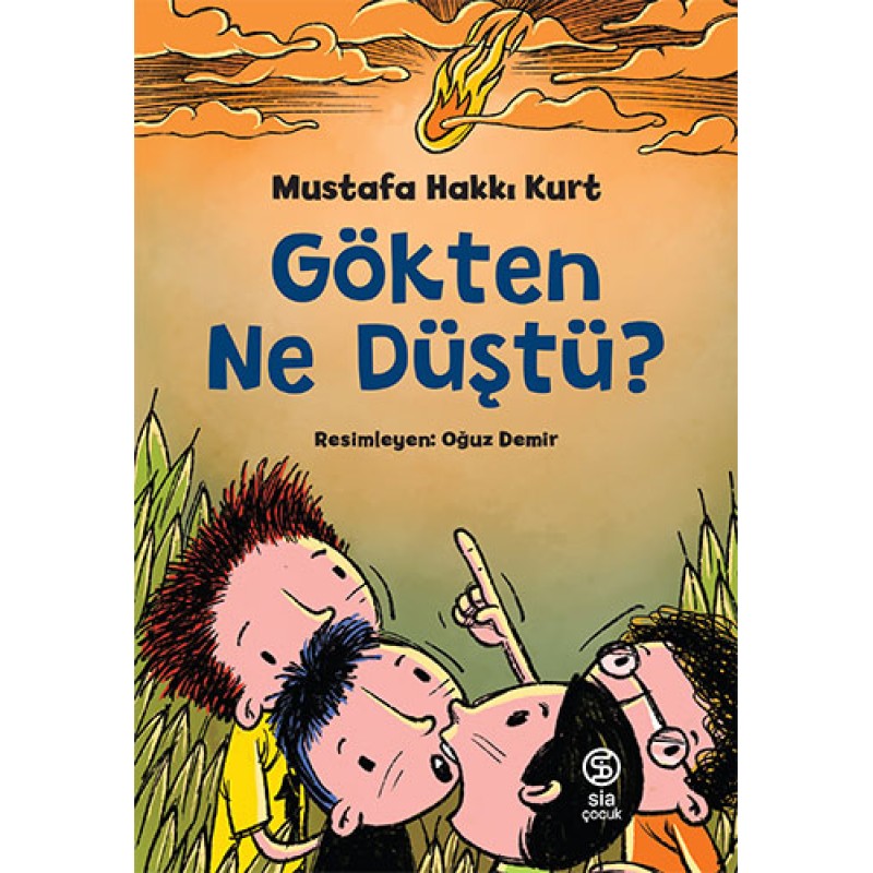 Gökten Ne Düştü? Gökten Ne Düştü?