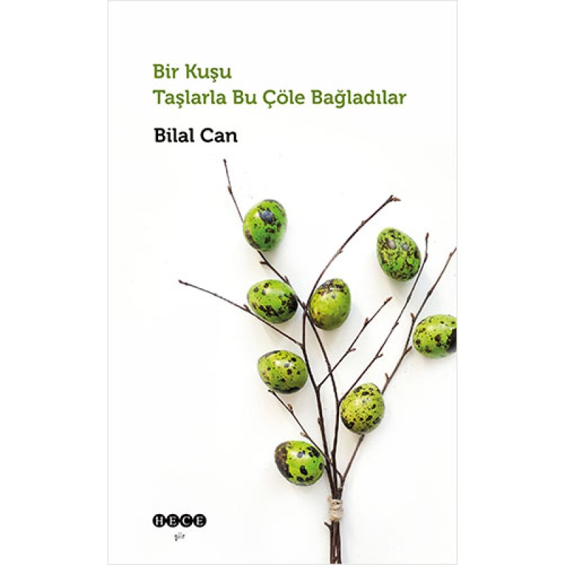 Bir Kuşu Taşlarla Bu Çöle Bağladılar