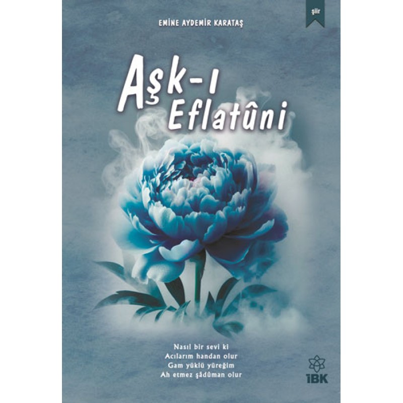 Aşk-ı Eflâtuni Aşk-ı Eflâtuni
