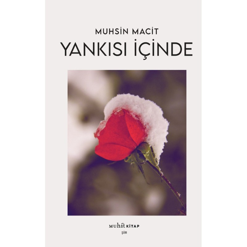 Yankısı İçinde Yankısı İçinde