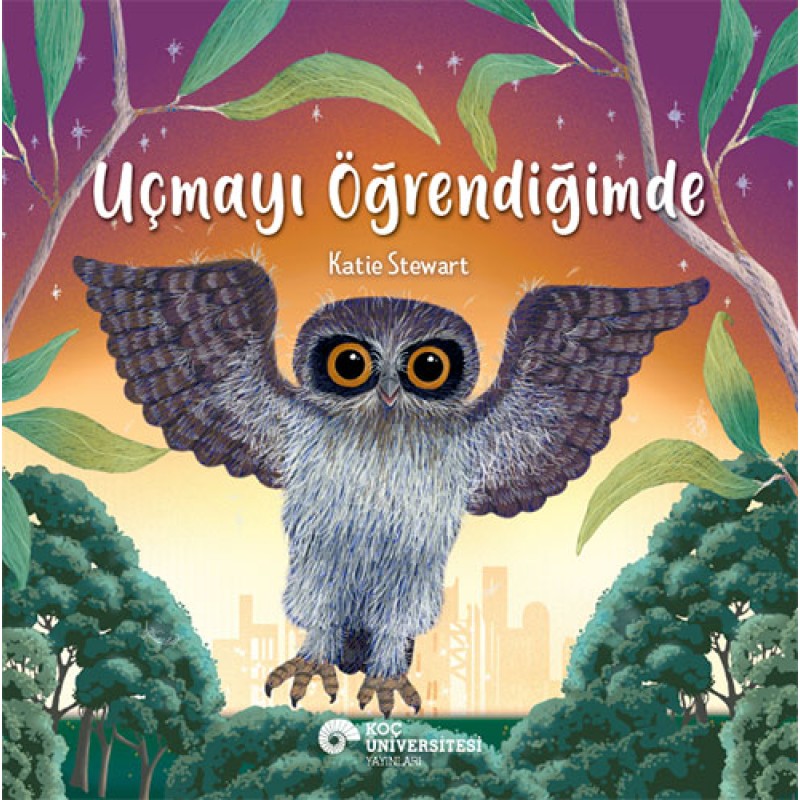 Uçmayı Öğrendiğimde Uçmayı Öğrendiğimde
