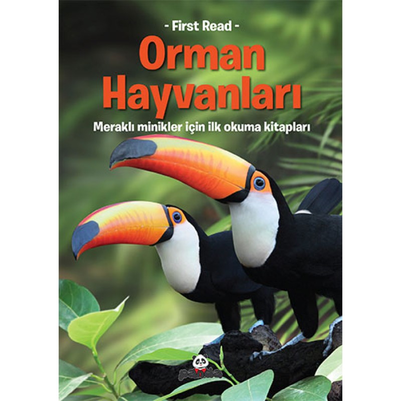 Orman Hayvanları Orman Hayvanları