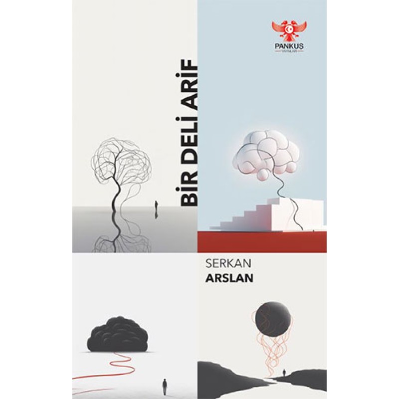 Bir Deli Arif Bir Deli Arif