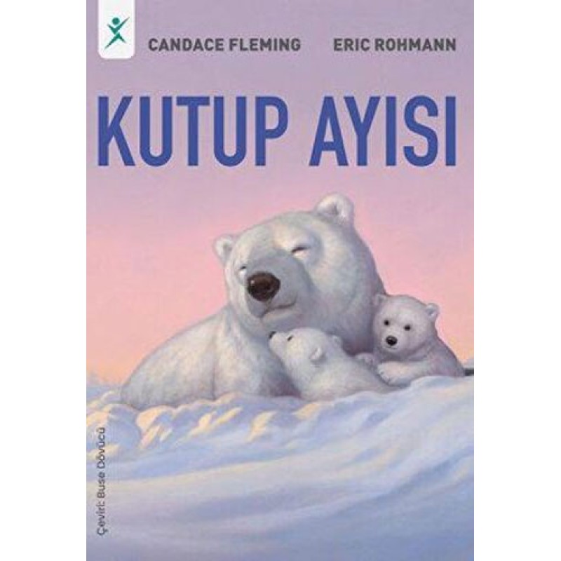Kutup Ayısı Kutup Ayısı