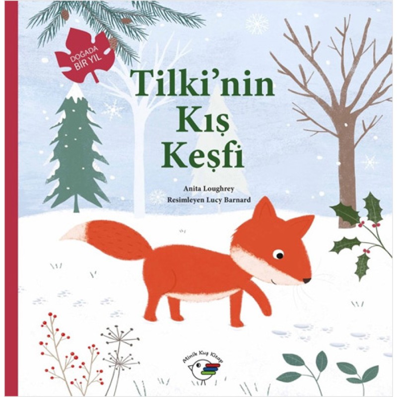 Tilki'nin Kış Keşfi