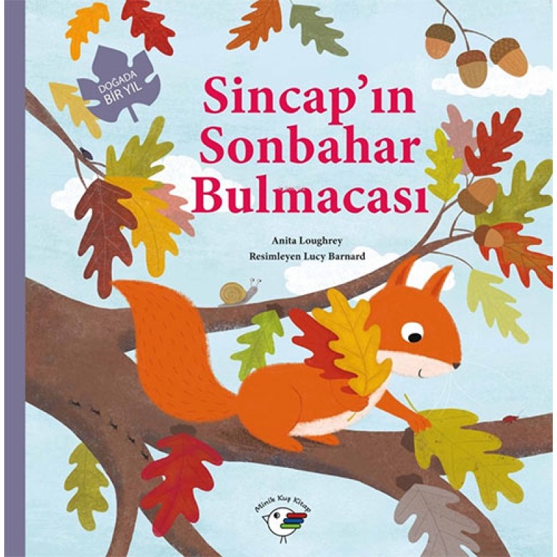 Sincap’ın Sonbahar Bulmacası Sincap’ın Sonbahar Bulmacası