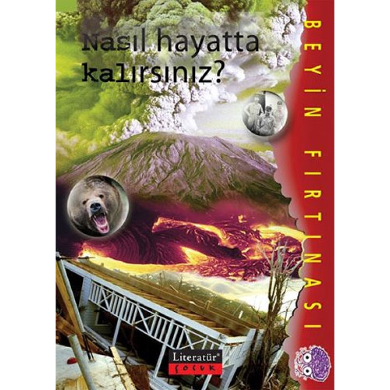 Beyin Fırtınası - Nasıl Hayatta Kalırsınız? Beyin Fırtınası - Nasıl Hayatta Kalırsınız?