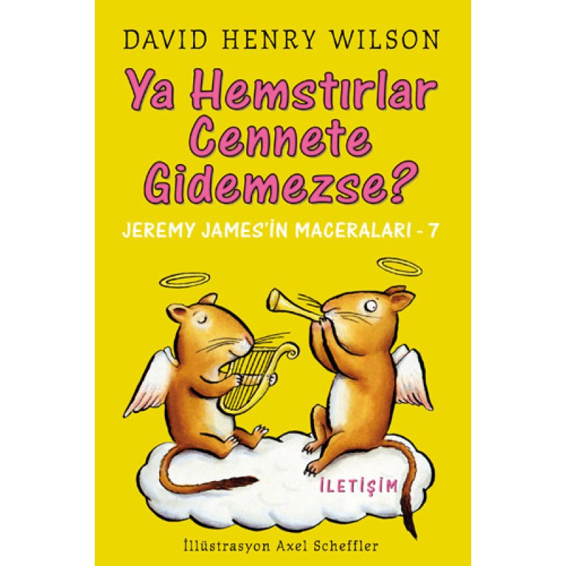 Ya Hemstırlar Cennete Gidemezse?