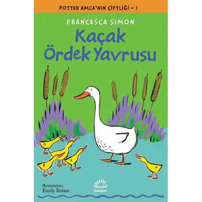 Kaçak Ördek Yavrusu Kaçak Ördek Yavrusu