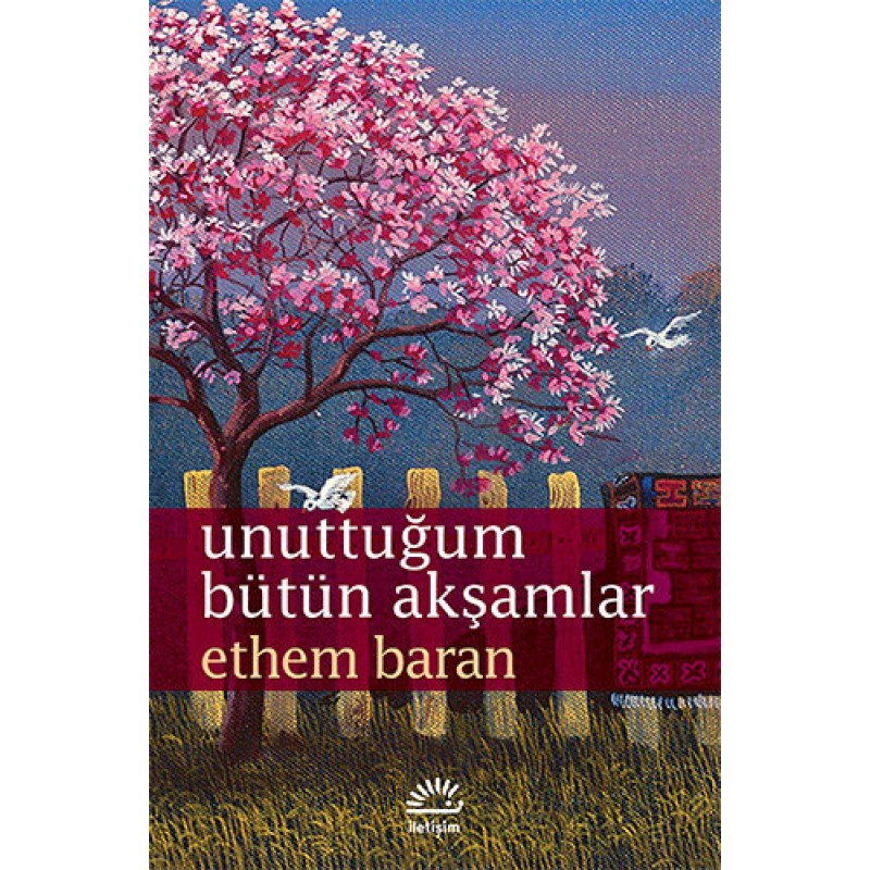 Unuttuğum Bütün Akşamlar