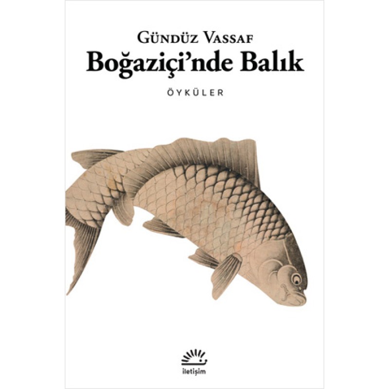 Boğaziçi'nde Balık - Öyküler Boğaziçi'nde Balık - Öyküler