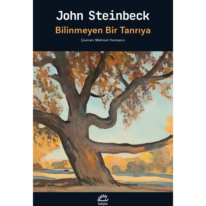 Bilinmeyen Bir Tanrıya