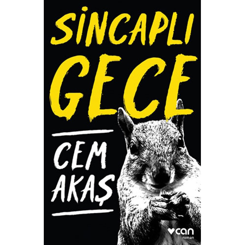 Sincaplı Gece Sincaplı Gece