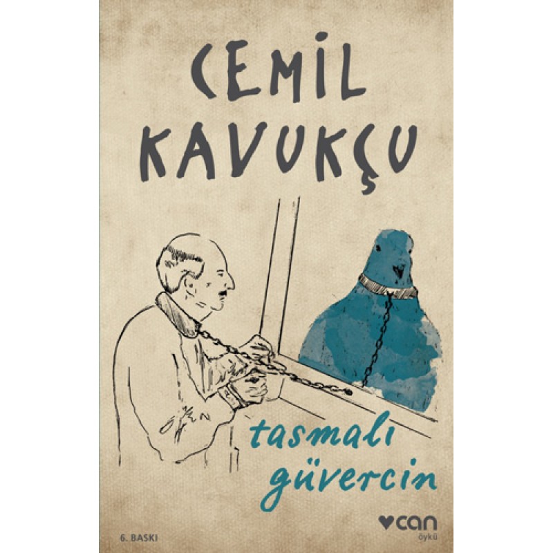 Tasmalı Güvercin Tasmalı Güvercin