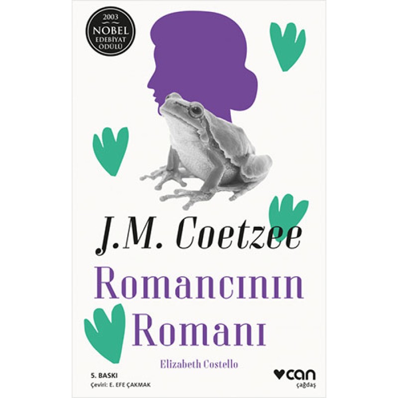 Romancının Romanı