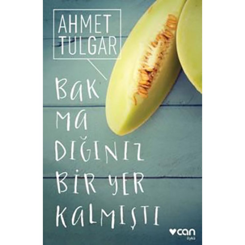 Bakmadığınız Bir Yer Kalmıştı Bakmadığınız Bir Yer Kalmıştı