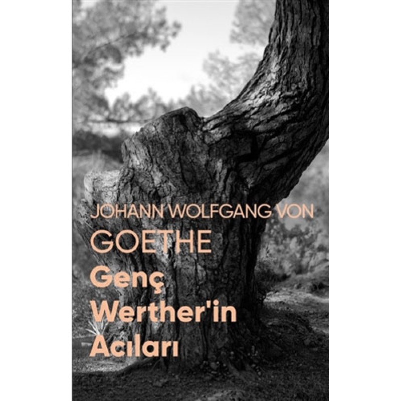 Genç Werther’in Acıları Genç Werther’in Acıları