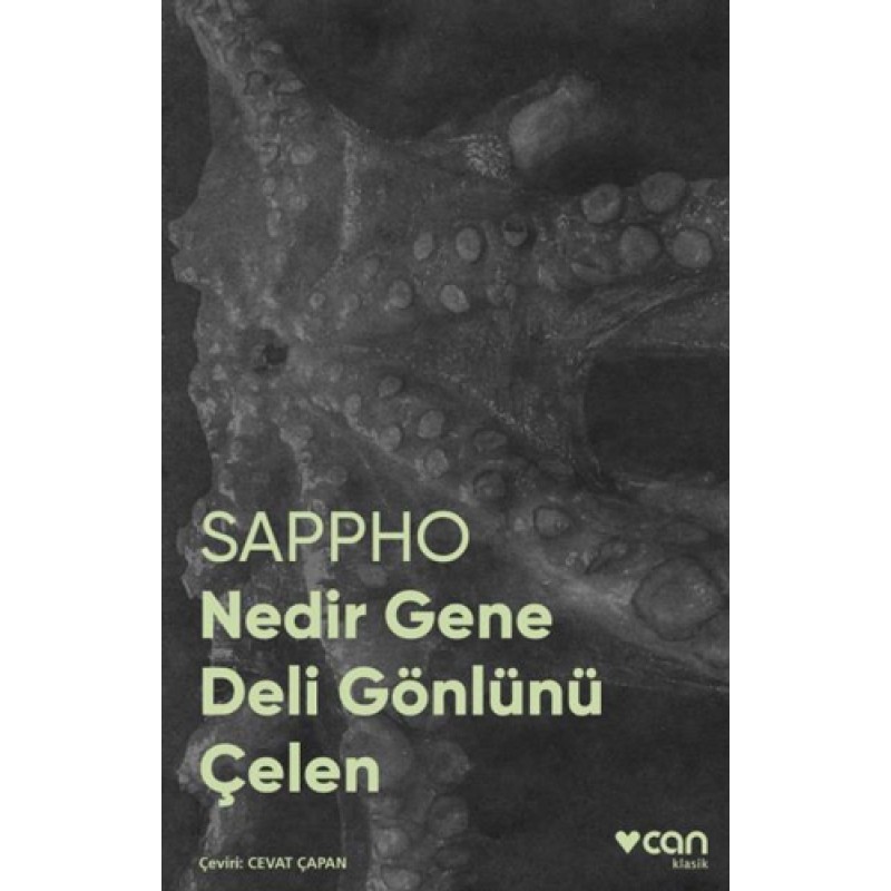 Nedir Gene Deli Gönlünü Çelen (Fotoğraflı Klasikler)
