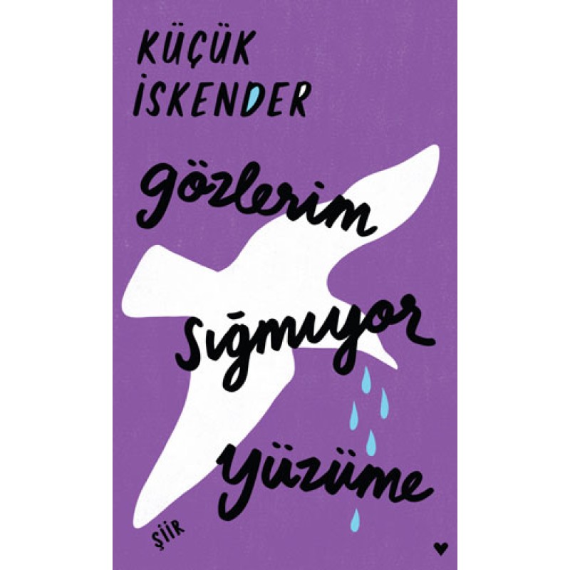Gözlerim Sığmıyor Yüzüme (Ciltli) Gözlerim Sığmıyor Yüzüme (Ciltli)