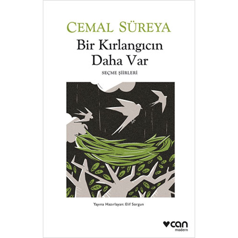Bir Kırlangıcın Daha Var Bir Kırlangıcın Daha Var