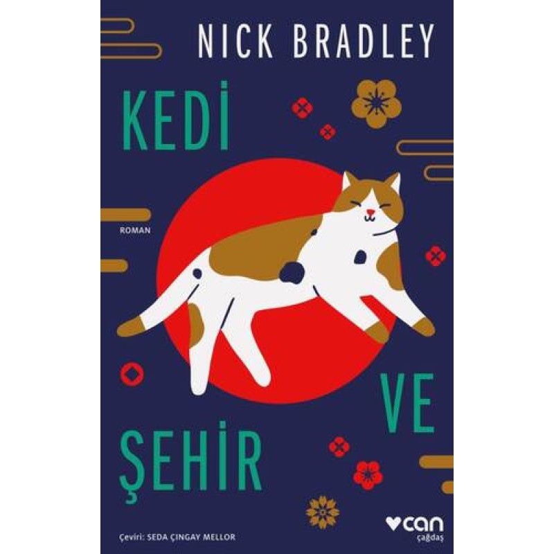 Kedi ve Şehir Kedi ve Şehir