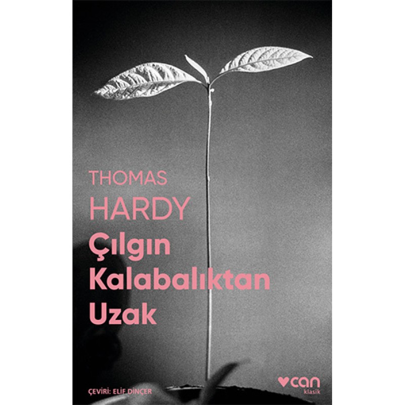 Çılgın Kalabalıktan Uzak Çılgın Kalabalıktan Uzak