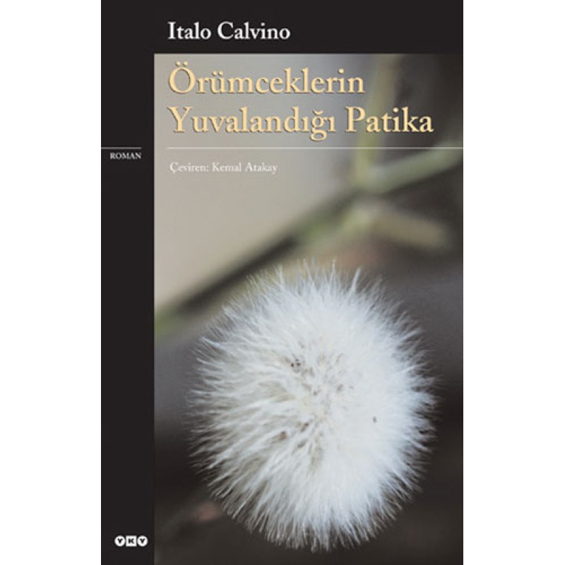 Örümceklerin Yuvalandığı Patika