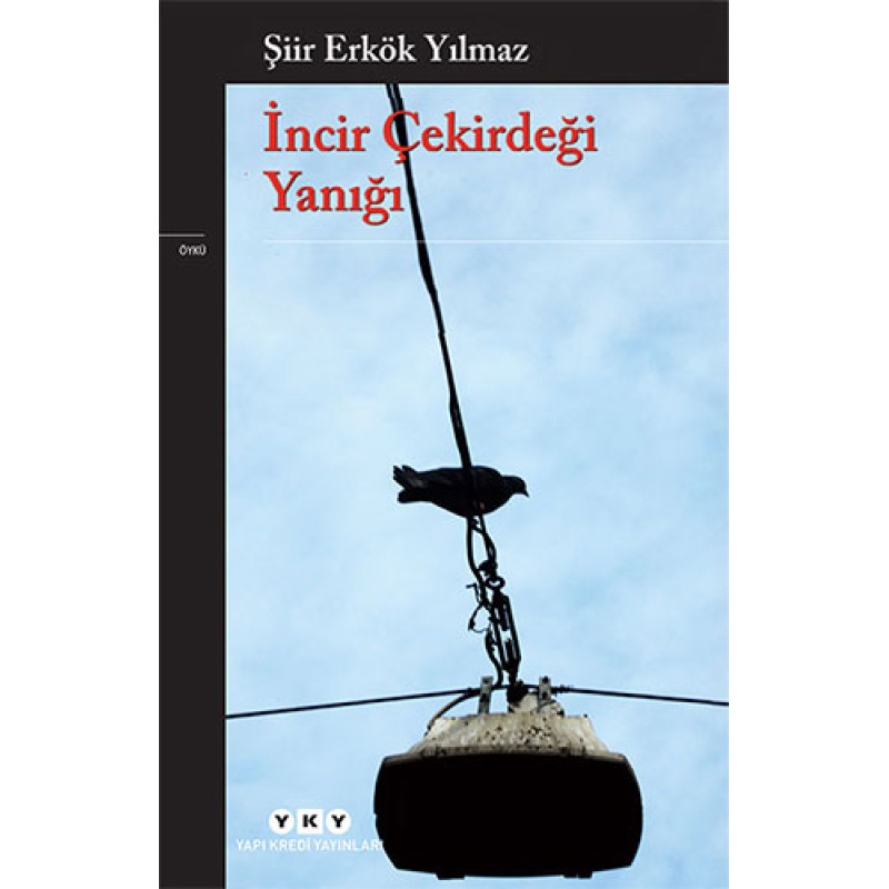 İncir Çekirdeği Yanığı İncir Çekirdeği Yanığı