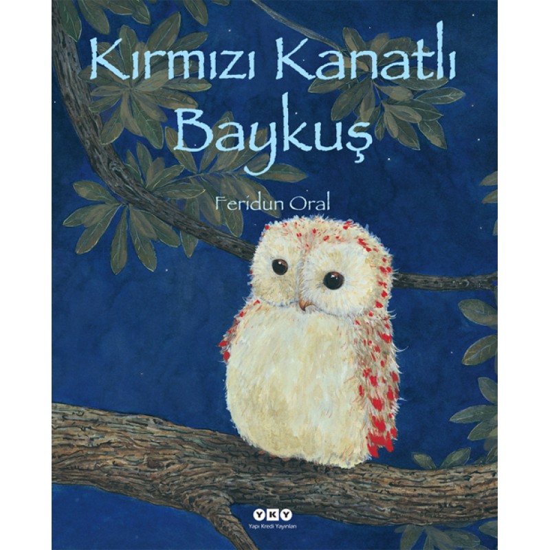 Kırmızı Kanatlı Baykuş Kırmızı Kanatlı Baykuş