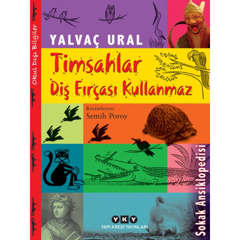 Timsahlar Diş Fırçası Kullanmaz Timsahlar Diş Fırçası Kullanmaz